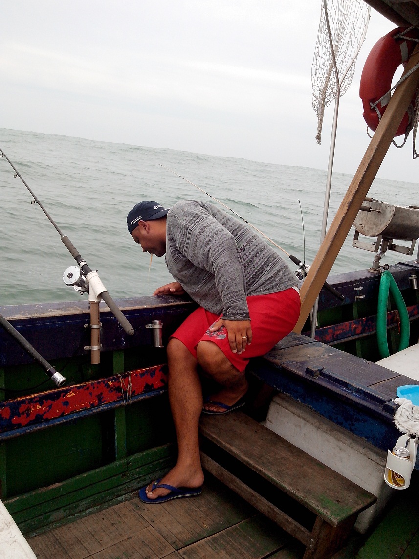 coxinhasaindo